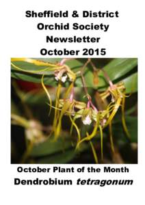 Sheffield & District Orchid Society Newsletter OctoberOctober Plant of the Month