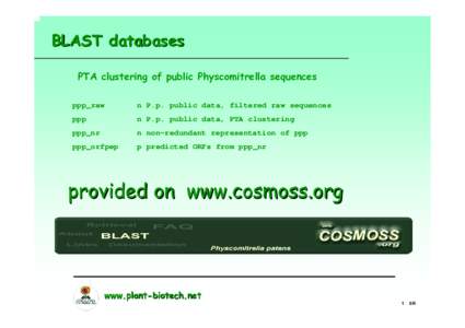 BLAST databases PTA clustering of public Physcomitrella sequences ppp_raw n P.p. public data, filtered raw sequences