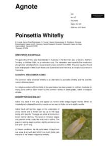 Poinsettia Whitefly (DBIRD_NT)