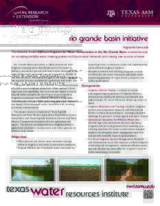 rio grande basin initiative riogrande.tamu.edu The federally funded Efficient Irrigation for Water Conservation in the Rio Grande Basin initiative focuses on increasing available water, meeting present and future water d
