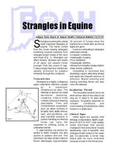 Strangles in Equine Indiana State Board of Animal Health•Technical Bulletin EQ[removed]S  trangles is among the oldest