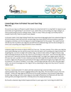 1  Loose	
  Dogs:	
  How	
  to	
  Protect	
  You	
  and	
  Your	
  Dog	
   May	
  2013	
   	
   Do	
  you	
  let	
  your	
  dog	
  run	
  off-­‐leash	
  in	
  public?	
  Maybe	
  on	
  a	
  des