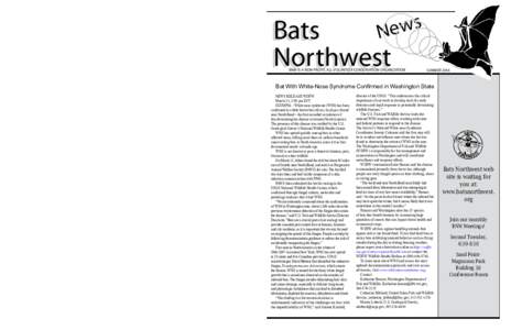 Become a Bats Northwest Member  Join us in the adventure to learn more about our bat neighbors! 