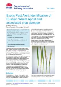 Exotic Pest Alert: Identification of Russian Wheat Aphid and associated crop damage