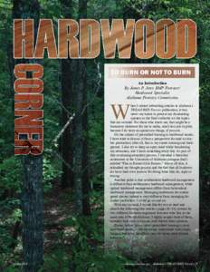 TO BURN OR NOT TO BURN An Introduction By James P. Jeter, BMP Forester/ Hardwood Specialist Alabama Forestry Commission
