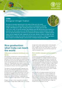 Cuba  Biological nitrogen fixation Rice plays an extremely important part in the cuisine of Cuba and is the central ingredient of many of its national dishes. Cuba’s annual rice consumption is estimated as high as 60 k