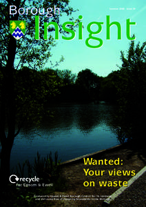 Borough  Summer 2008 Issue 39 Insight