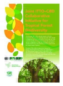 Joint ITTO–CBD Collaborative Initiative for Tropical Forest Biodiversity An estimated 300 million people depend on forests