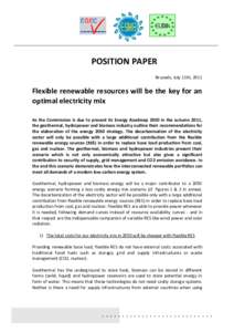 POSITION PAPER Brussels, July 11th, 2011 Flexible renewable resources will be the key for an optimal electricity mix As the Commission is due to present its Energy Roadmap 2050 in the autumn 2011,