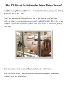 What Will I See at the Smithsonian Natural History Museum? I will be visiting Mammals Hall soon. It is at the Smithsonian Natural History Museum. What will I see? I may see many of the mammals that are in the video at th
