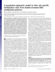 A population-epigenetic model to infer site-specific methylation rates from double-stranded DNA methylation patterns Diane P. Genereux*†‡, Brooks E. Miner†, Carl T. Bergstrom†, and Charles D. Laird†§¶ *Progra