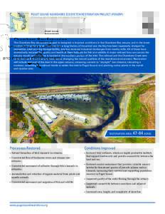 PUGET SOUND NEARSHORE ECOSYSTEM RESTORATION PROJECT (PSNERP) POTENTIAL RESTORATION AND PROTECTION PROJECTS Chambers Bay Estuarine and Riparian Enhancement