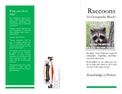 Raccoons  What can I do to help?  In Chesapeake Beach?