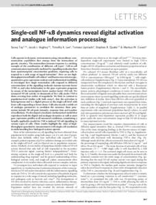 Vol 466 | 8 July 2010 | doi:nature09145  LETTERS Single-cell NF-kB dynamics reveal digital activation and analogue information processing Savas¸ Tay1,2*, Jacob J. Hughey1*, Timothy K. Lee1, Tomasz Lipniacki3, St