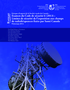 Rapport  Groupes d’experts de la Société royale du Canada : Examen du Code de sécurité [removed]) : Limites de sécurité de l’exposition aux champs