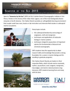 Spend a “Semester by the Sea” (SBTS) at FAU’s Harbor Branch Oceanographic Institute in Fort Pierce, Florida on the shores of the Indian River Lagoon, one of the most biologically diverse estuaries in North America.