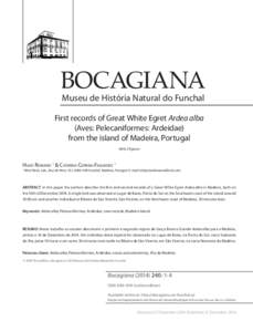 BOCAGIANA Museu de História Natural do Funchal First records of Great White Egret Ardea alba (Aves: Pelecaniformes: Ardeidae) from the island of Madeira, Portugal