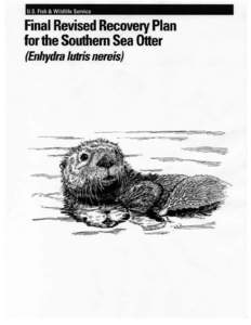U.S. Fish & Wildlife Service  Final Revised Recovery Plan for the Southern Sea Otter (Enhydra lutris nereis)