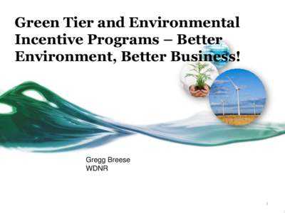 Green Tier and Environmental Incentive Programs – Better Environment, Better Business! Gregg Breese WDNR
