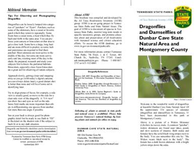Additional Information Tips For Observing and Photographing Dragonflies Dragonflies can be loosely lumped into categories of “perchers” or “flyers”. Perchers, such as some of the skimmers, have a usual or favorit