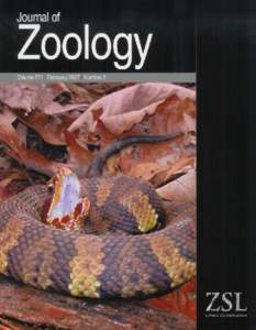 Journal of Zoology. Print ISSNMigration patterns in a population of cottonmouths (Agkistrodon piscivorus) inhabiting an isolated wetland X. Glaudas, K. M. Andrews, J. D. Willson & J. W. Gibbons University o