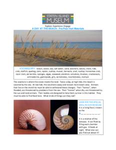 A DAY AT THE BEACH: Pre/Post Visit Materials  VOCABULARY: beach, ocean, sea, salt water, sand, seashells, waves, shore, tide, crab, starfish, quahog, clam, oyster, scallop, mussel, barnacle, snail, scallop, horseshoe cra