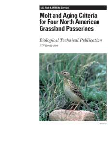 U.S. Fish & Wildlife Service  Molt and Aging Criteria for Four North American Grassland Passerines Biological Technical Publication