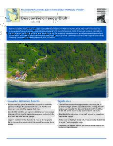 PUGET SOUND NEARSHORE ECOSYSTEM RESTORATION PROJECT (PSNERP) TENTATIVELY SELECTED PLAN Beaconsfield Feeder Bluff  IMAGE: Washington State Department of Ecology (2006)