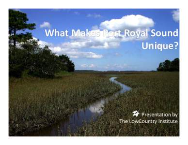 What Makes Port Royal Sound Unique?