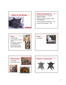 Basics of Cat Breeds  Selected Cat Associations § Cat Fanciers’ Assoc. – CFA, 1906, largest, 41 breeds § American Cat Fanciers Assoc. – ACFA,