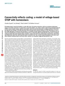 Connectivity reflects coding: a model of voltage-based STDP with homeostasis
