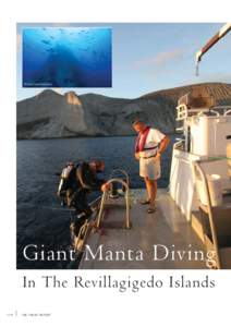 © Living Ocean Productions  Giant Manta Diving In The Revillagigedo Islands 106