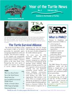 Year of the Turtle News No. 2 February[removed]Basking in the Wonder of Turtles