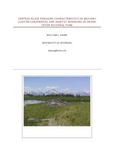 CENTRAL PLACE FORAGING CHARACTERISTICS OF BEAVERS (CASTOR CANADENSIS) AND HABITAT MODELING IN GRAND TETON NATIONAL PARK WILLIAM J. GRIBB UNIVERSITY OF WYOMING