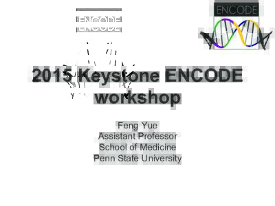 2015 Keystone ENCODE workshop Feng Yue Assistant Professor School of Medicine Penn State University