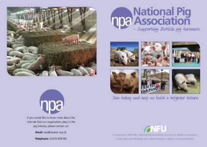National Pig Association – Supporting British pig farmers  Join today and help us build a brighter future