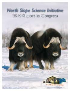 North Slope Science Initiative 2010 Report to Congress Musk Oxen © 2010 Patrick Endres/AlaskaStock.com  http://www.northslope.org