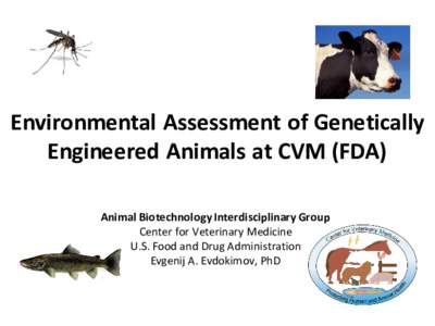 Environmental Assessment of Genetically Engineered Animals at CVM (FDA)