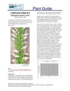 Plant Guide CHINESE PRIVET Ligustrum sinense Lour. Plant Symbol = LISI Contributed by: USDA NRCS National Plant Data Center & Louisiana State University-Plant Science;