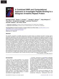 Article  A Combined NMR and Computational Approach to Investigate Peptide Binding to a Designed Armadillo Repeat Protein Christina Ewald 1 , Martin T. Christen 1, † , Randall P. Watson 1, † , Maja Mihajlovic 2 ,