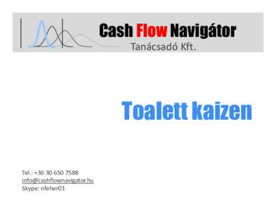 Cash Flow Navigátor Tanácsadó Kft. Toalett kaizen Tel.: + 
