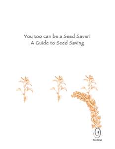 You too can be a Seed Saver! A Guide to Seed Saving    Seed