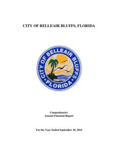 Political economy / Public economics / Public finance / Single Audit / Economy of the United States / Belleair Bluffs /  Florida / Comprehensive annual financial report / Belleair / Financial statement / Accountancy / Finance / Government Accountability Office