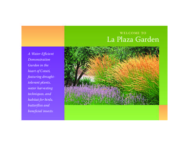 w e l c o m e to  La Plaza Garden A Water-Efficient Demonstration Garden in the