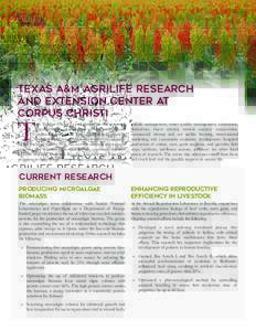 Texas A&M AgriLife Research and Extension Center at Corpus Christi T
