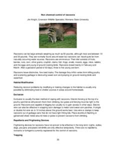 Non chemical control of raccoons Jim Knight, Extension Wildlife Specialist, Montana State University Raccoons can be large animals weighing as much as 50 pounds, although most are between 10 and 30 pounds. They are norma