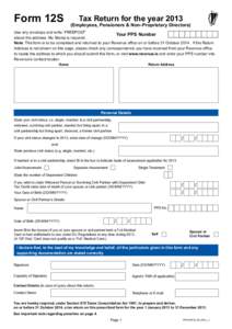 Form 12S - Tax Return for the year 2013
