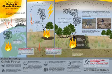 The Science Behind  Carbon & Climate Change  Smoke from fires put carbon