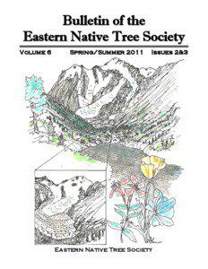 Bulletin of the Eastern Native Tree Society Volume 6