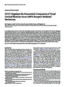 10256 • The Journal of Neuroscience, July 30, 2014 • 34(31):10256 –[removed]Development/Plasticity/Repair STAT1 Regulates the Homeostatic Component of Visual Cortical Plasticity via an AMPA Receptor-Mediated